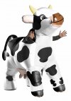 adults-inflatable-cow-costume.jpg