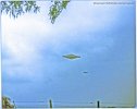 Calvine Ufo.jpg