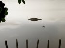 Reflection.jpg
