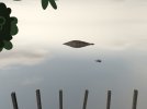 Reflection0.jpg