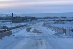 Polar-Bear-on-Base-2022-900x600.jpg