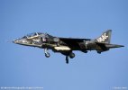 DRA Harrier T4 XW175.jpg DRA Harrier T4 XW175.jpg