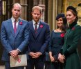 12 Princes William and Harry, Meghan and Kate.jpg