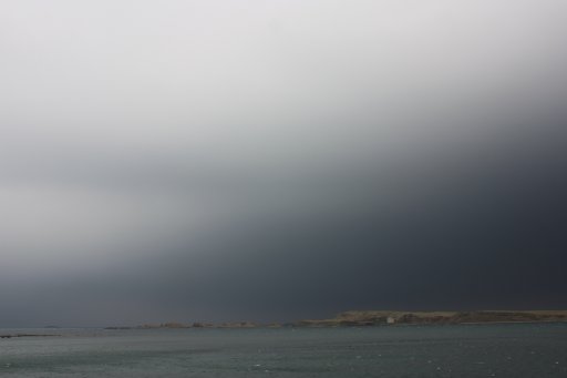 IMG_3905.JPG