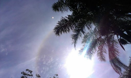 IMAG0703.jpg