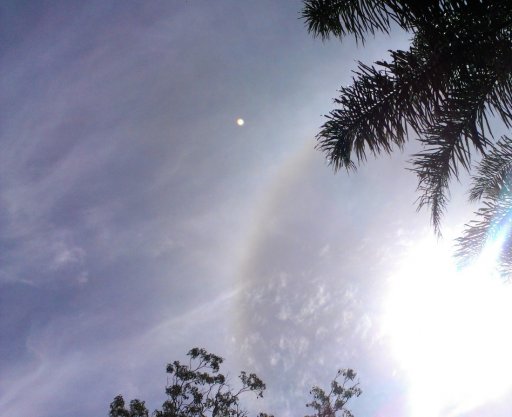 IMAG0704.jpg