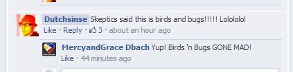 birds and bugs.JPG