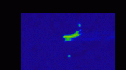 RDT_20230816_2104268969991307211590201.gif
