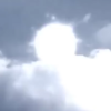 vida.png