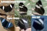 Butterfly UAP.jpg