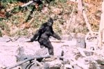 Patterson–Gimlin film.jpg