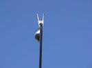 DSC00674.jpg