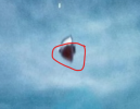 1707958664601.png