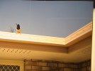 DSC00709.jpg
