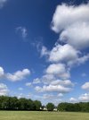 89BD22C6-0D35-425E-B7B3-B34EAB147F37_1_105_c.jpeg