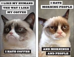 Grumpy1.jpg