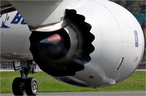 trent 1.JPG