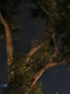 we-saw-a-ufo-on-friday-night-for (3).png