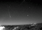 Kevin-Palivec-gifmov_1728991918.gif
