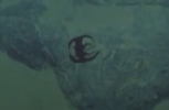 wtf 7.png