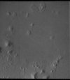 070A13.jpg