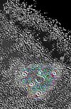 imageedit_3_6900620505.jpg