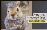 Golden-Squirrel-Classified-720x460.jpg