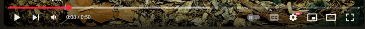 1746805065613.png