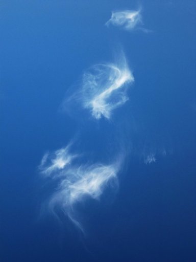DSCF0443b.jpg