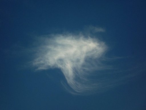 DSCF0445.jpg