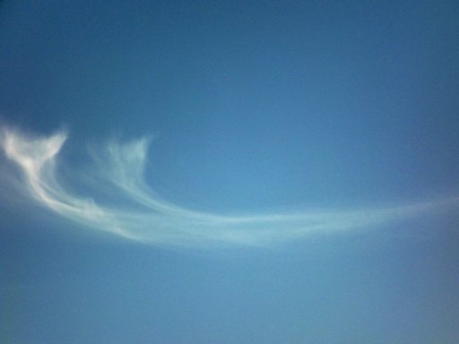 DSCF0446.jpg