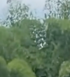 s6.png