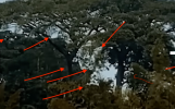 s20.png