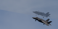 F22 vs fly2.png