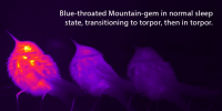 delme.png