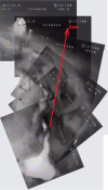 1778809270388.png