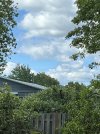 IMG_3201.jpeg