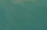Screenshot 2026-05-18 at 01.30.46.png