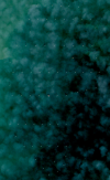Screenshot 2026-05-18 at 10.38.00.png