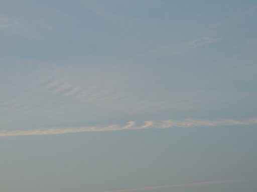 DSCN4753.JPG