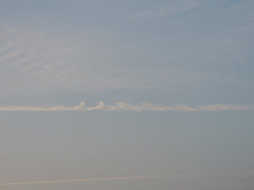 DSCN4746.JPG