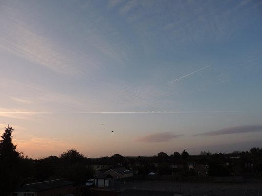 DSCN4741.JPG