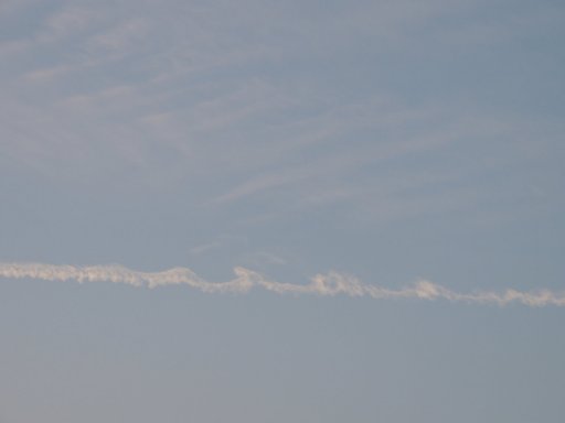 DSCN4740.JPG
