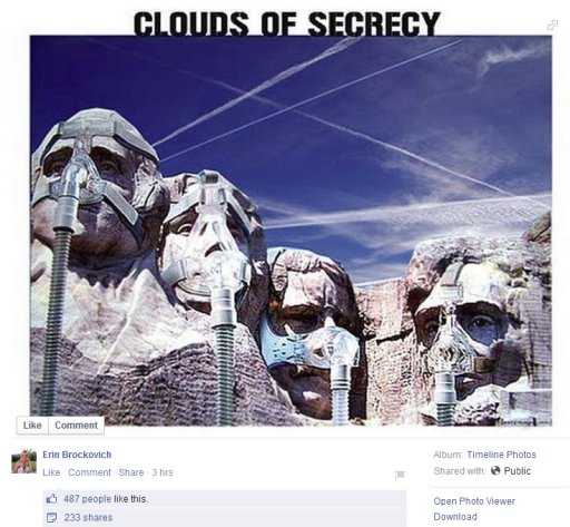 erinbrockovich.jpg