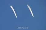 contrail 101.jpg