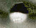 1780283536436.png