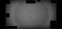 IMG_5994.jpeg