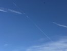 1781428481061.jpeg