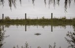 IMG_2367.jpeg