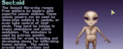 IMG_2433.jpeg
